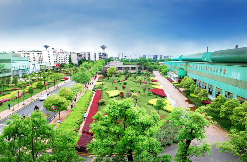 《中國(guó)環(huán)境網(wǎng)》衡鋼:培育綠色發(fā)展新動(dòng)能