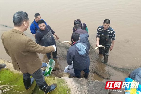 QQ??20190128144305_??.jpg QQ??20190128144305_??.jpg