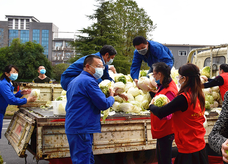 1582784791988535.jpg 白菜.jpg