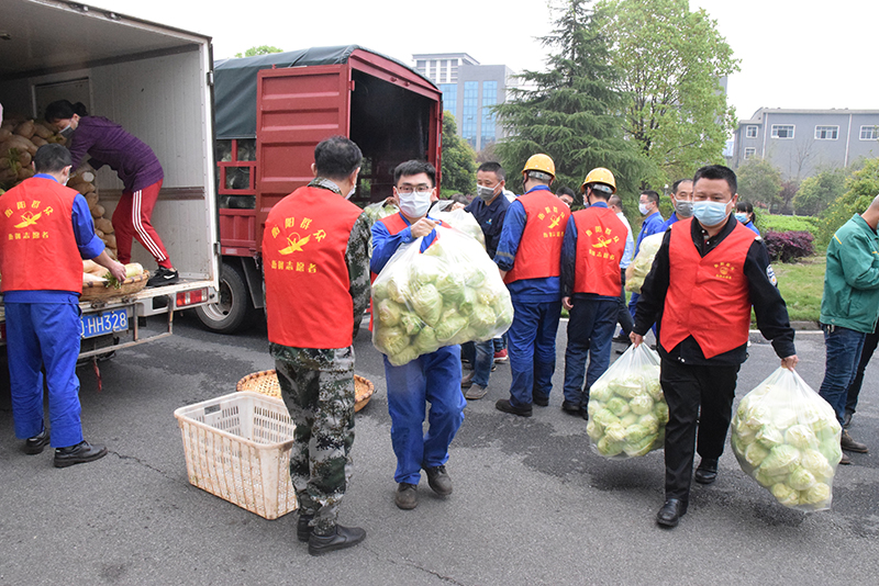 1585036148313923.jpg 蔬菜2.jpg