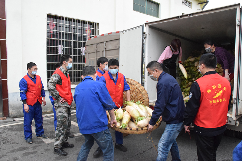 1585036175244981.jpg 蔬菜3.jpg